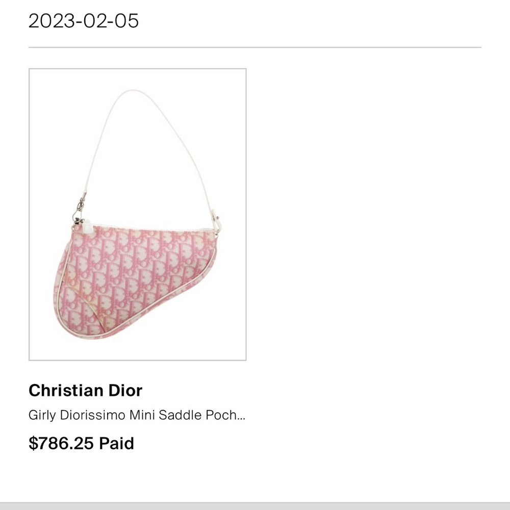 Christian Dior Mini Saddle